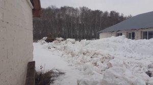 Бульдозер т-170 с ямз расчистка территории