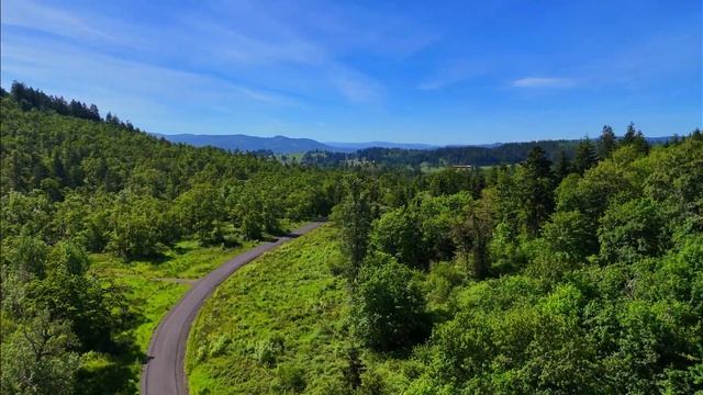 Oregon ~ Springtime ~ Flowers ~ Sun~ смотреть онлайн