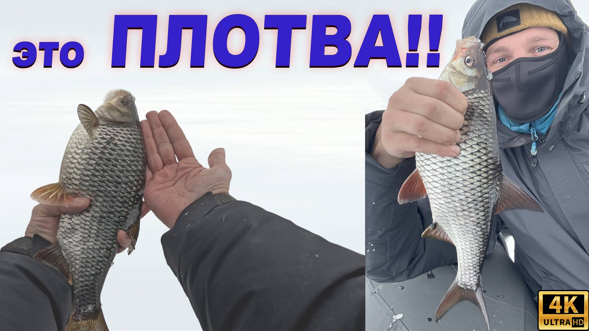 ТАКУЮ ПЛОТВУ Я ЕЩЁ НЕ ЛОВИЛ!! смотреть онлайн