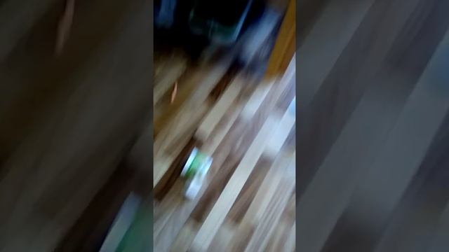 В погоне за насекомыми 1-я серия смотреть онлайн