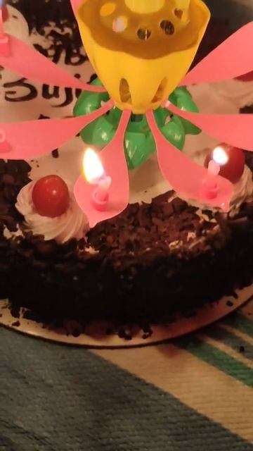 Birthday / Cake / Black / Forest Yummy / Cake/