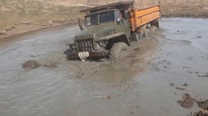 Грузовик Урал 6x6 против Трактор Беларус 4x4 по БОЛОТЕ | Оффроад 2020