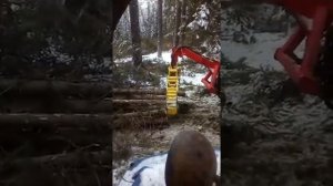 Трелевачный захват Горыныч