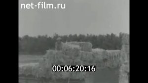 1976г. совхоз Котлубань Городищенский район Волгоградская обл