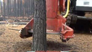 Валочно пакетирующая машина ЛП-19 с накопителем