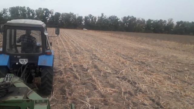 30.09.2020. NO-TILL посев пшеницы после сорго смотреть онлайн