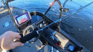 Новые Палки под Бульдоги, обзор и тест удилищ под крупный силикон, свимбейты