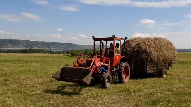 Возим сено на т25. Сенокос 2023год. Трактор т25 Владимир