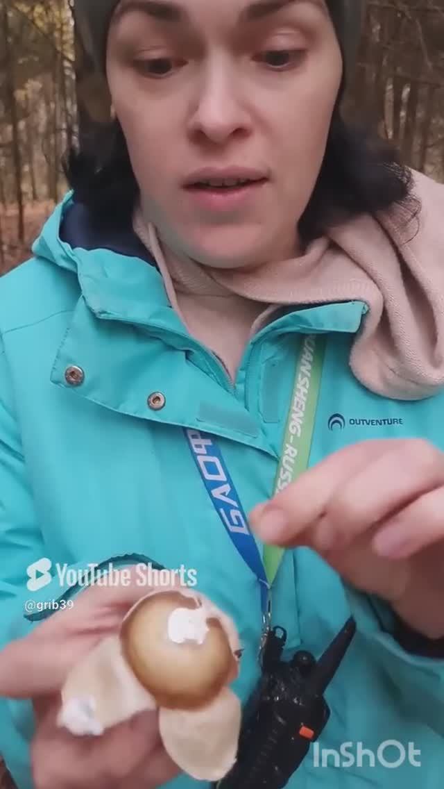 грибы ВЕСЕЛКА и вкусно и полезно👍#shorts #сборгрибов #поехатьзагрибами #лес #влесу смотреть онлайн