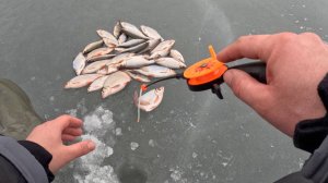 ДА КТО ТАМ ТАК ДАВИТ?!?!? Удачно закрыл сезон зимней рыбалки