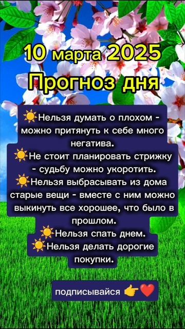 Прогноз дня на 10 марта 2025 смотреть онлайн