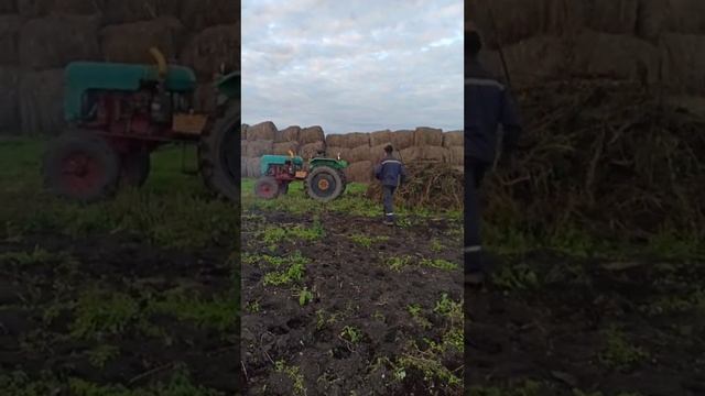 ХТЗ ДТ 20 тянет ботву смотреть онлайн