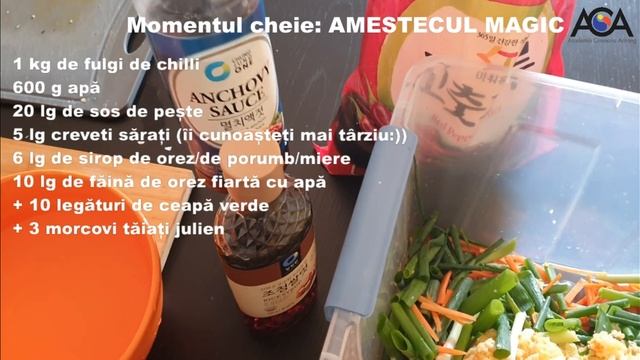 Kimchi de varza chinezeasca - 배추 김치 (Retete coreene cu Monica Jung) смотреть онлайн