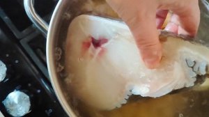 Рецепт быстрой ухи из зубатки🐟