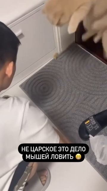 Maria And Andrey Family