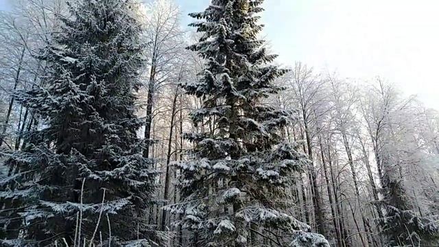 Зимняя сказка