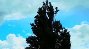 Types of weather for kids