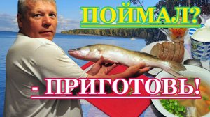 Судак КАРРИ и другие рецепты из речной рыбы