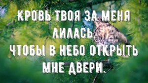 Иисус, о Тебе я пою - минус мой