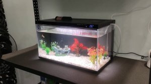 Аквариум Xiaomi Mijia Smart Fish Tank  часть 3 Проверка автокормушки
