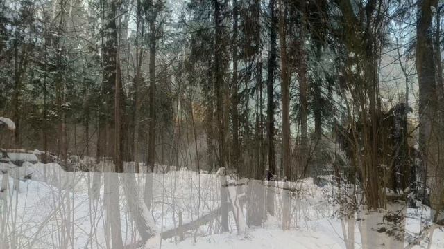 Открытие лыжного сезона 2020 смотреть онлайн