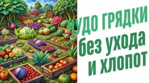 Картон на грядках.