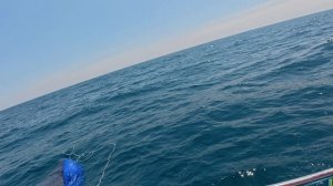 Рыбалка на Шри-Ланке 2025 День первый