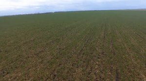 Старт полевых работ! Боронование, подкормка озимой пшеницы.