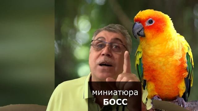 БОСС смотреть онлайн