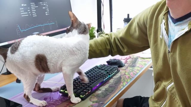 ASUS Just Changed Gaming Keyboards Forever.... смотреть онлайн