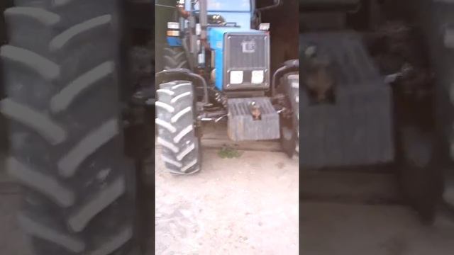 Мтз1221 загоняет груженный камазовский прицеп
