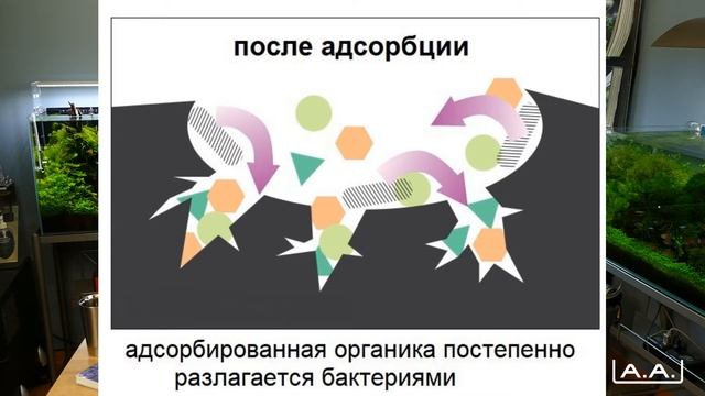 Фильтрация в аквариуме часть 2 ADA смотреть онлайн