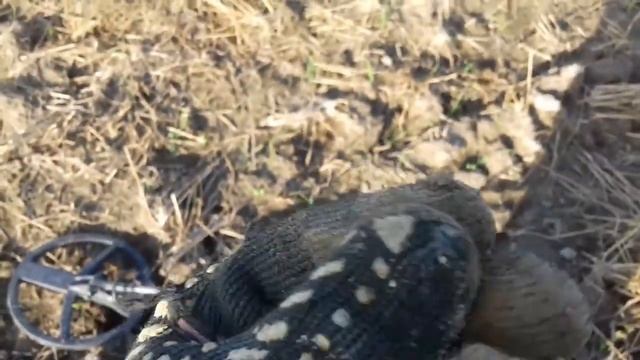 Шикарний коп по полям! смотреть онлайн