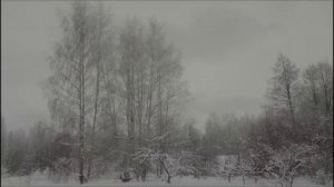 Иеромонах Роман. «В этот час, полночный час...»