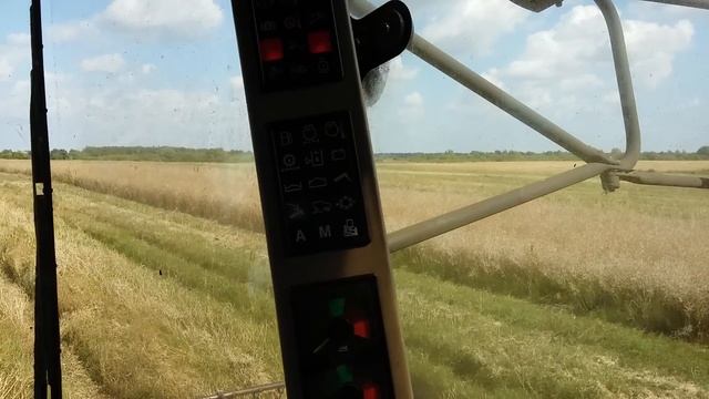 Будни тракториста 2ч. уборка озимого рапса
