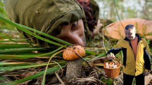 Ужасы похмелья: Грибные приключения