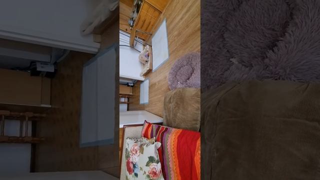 17 февраля 2024 г.