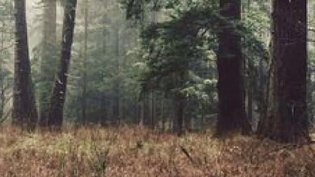 клип /Дурак и молния⚡\ смотреть онлайн