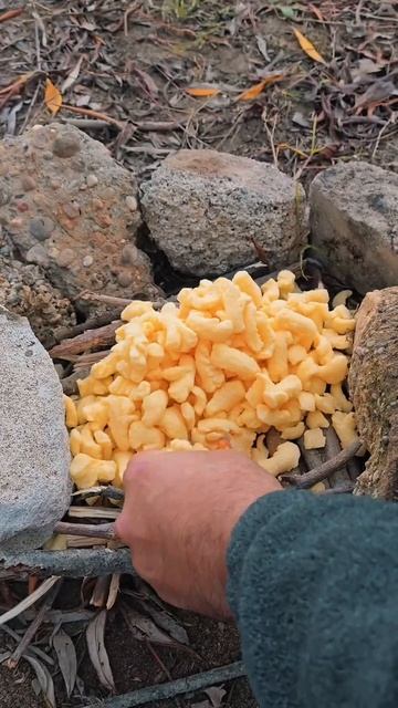 Насколько горючи кукурузные чипсы _ Удивительные факты, о которых вы не знали! смотреть онлайн