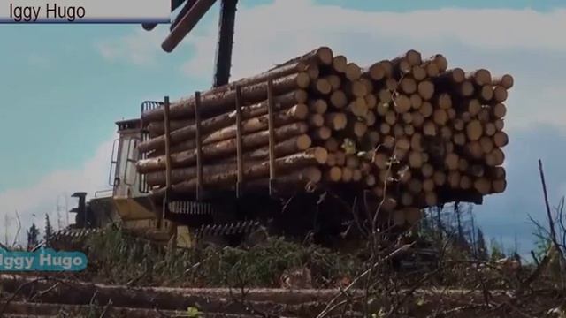 Форвардер tigercat и 1075B в Канаде смотреть онлайн