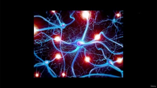 2. What is EEG signal смотреть онлайн