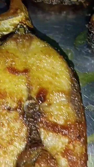 Huge Hilsa#bangladesh #bengali #shorts #short #viral #trending