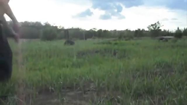 ПАРКУР КАРАГАНДА | SHOCK смотреть онлайн