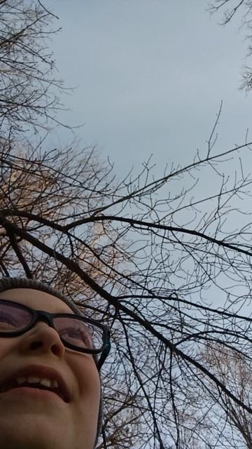 мы с Максимом спускаемся на Волгу часть 6/6 смотреть онлайн