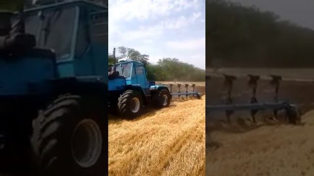 Работа плуга ПОН-5 (4+1) трактор Т-150 смотреть онлайн
