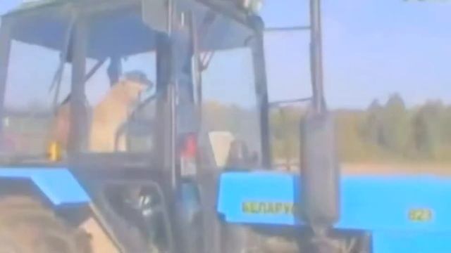 Russian tractor drivers fun video смотреть онлайн