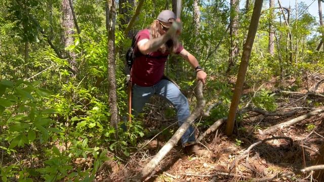 Gavilan 18” Colombian made Machete. Machete Monday is BACK!!! смотреть онлайн