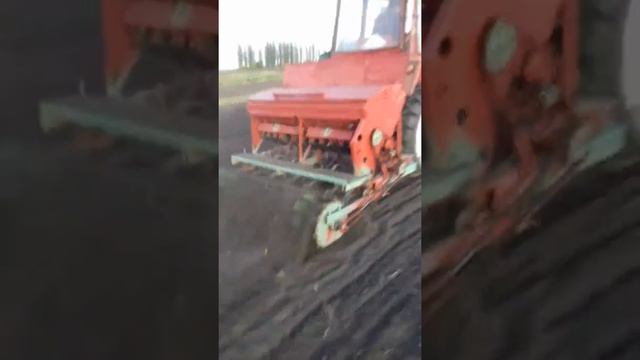 Сеялка для т25