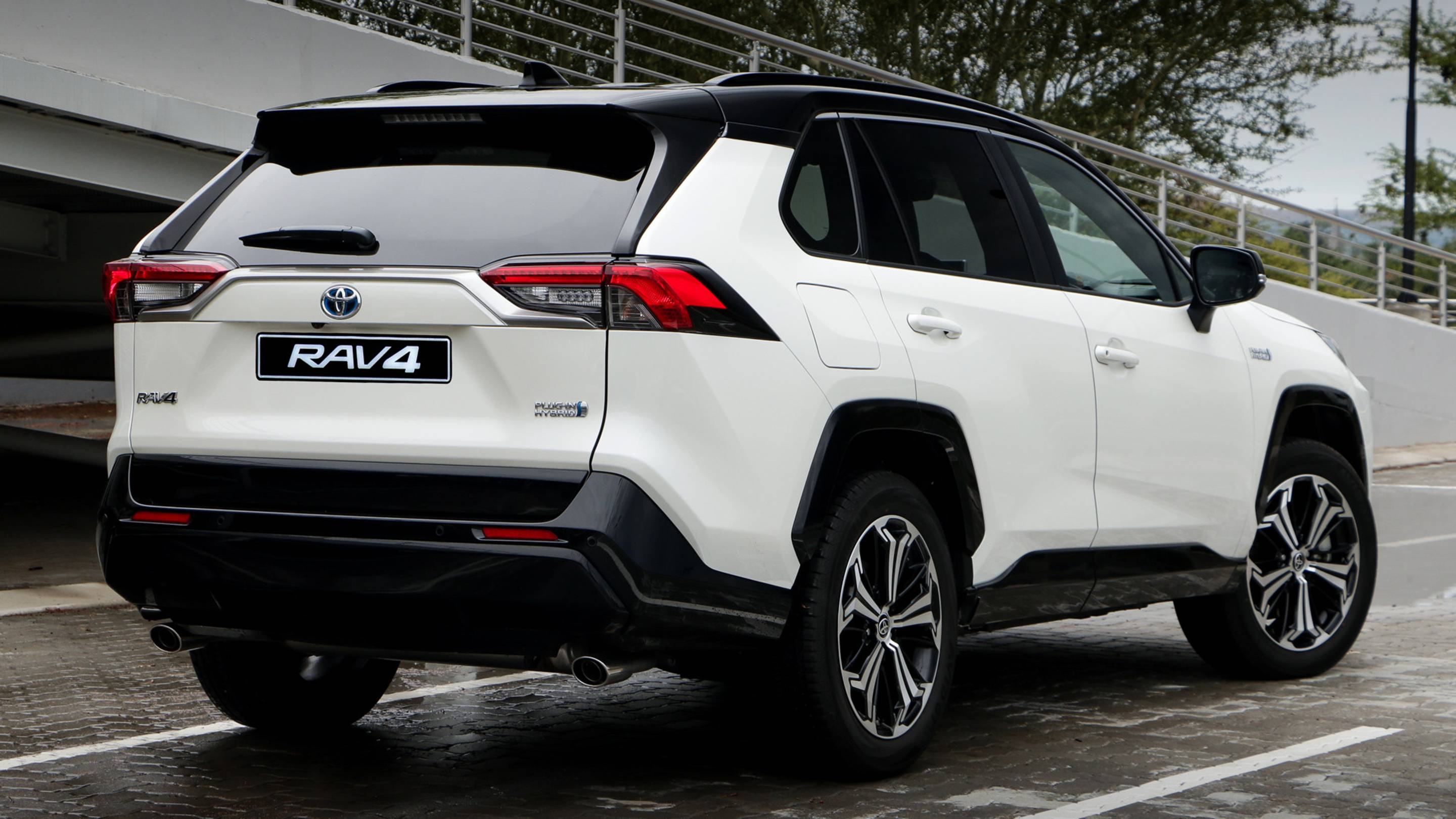 Японцы извинились и возвращаются в Россию смотреть онлайн