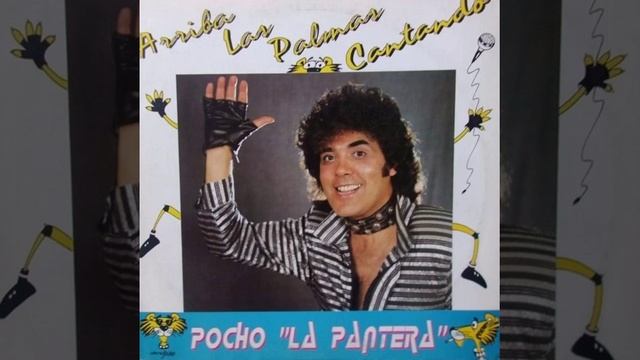 No Es Ni Sol Ni Sombra - POCHO LA PANTERA
